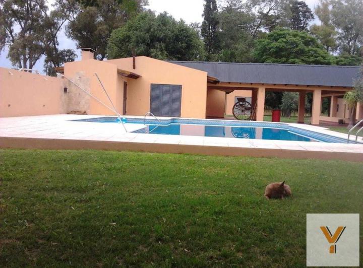 Edificio · 1000m²