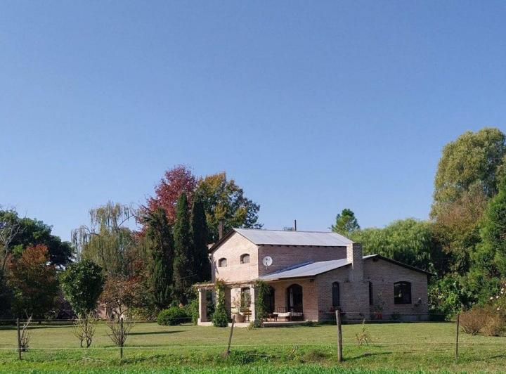 Campo · 5ha