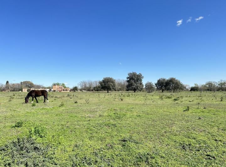 Terreno · 8023m²