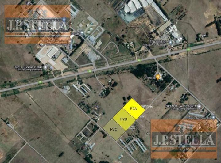 Terreno · 60017m²