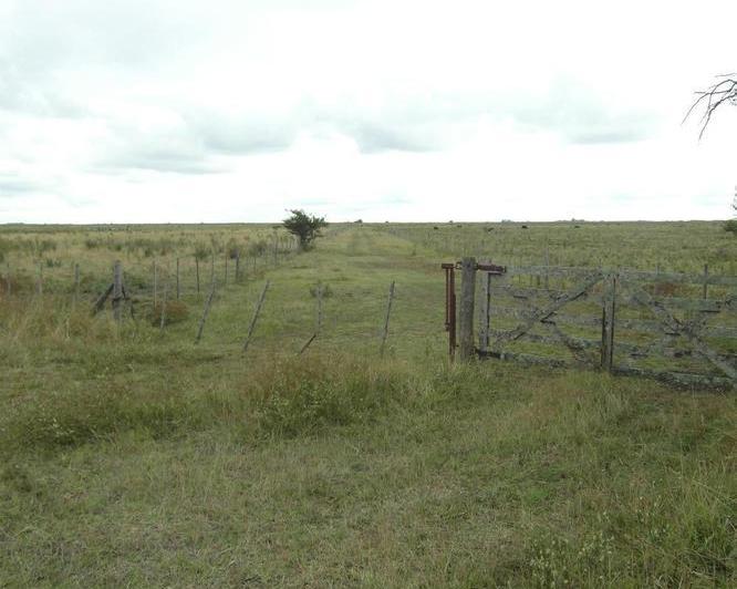 Campo · 1760000m²