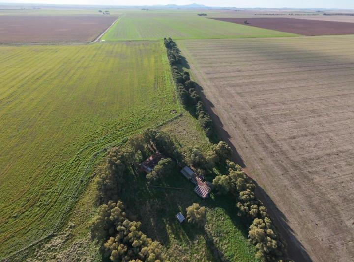 Campo · 600000m²