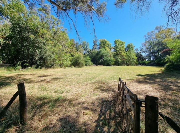 Campo · 7ha