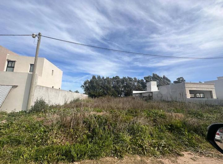 Terreno · 1133m²