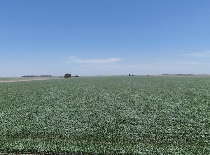 Campo · 9360000m²