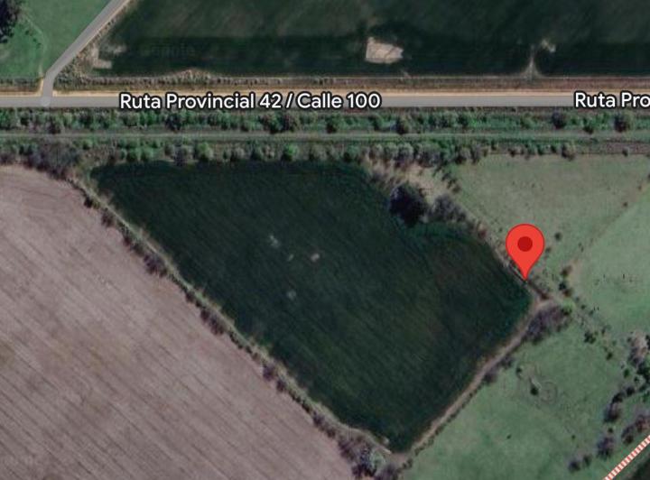Campo · 1m²