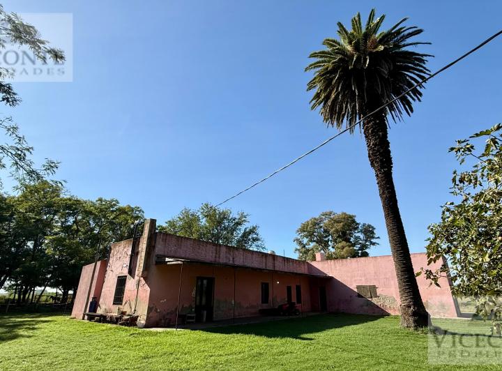 Campo · 280m²