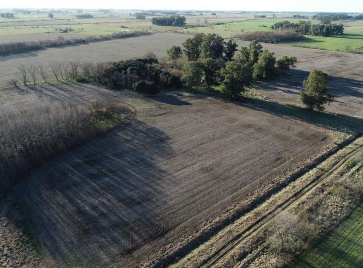 Campo · 26ha