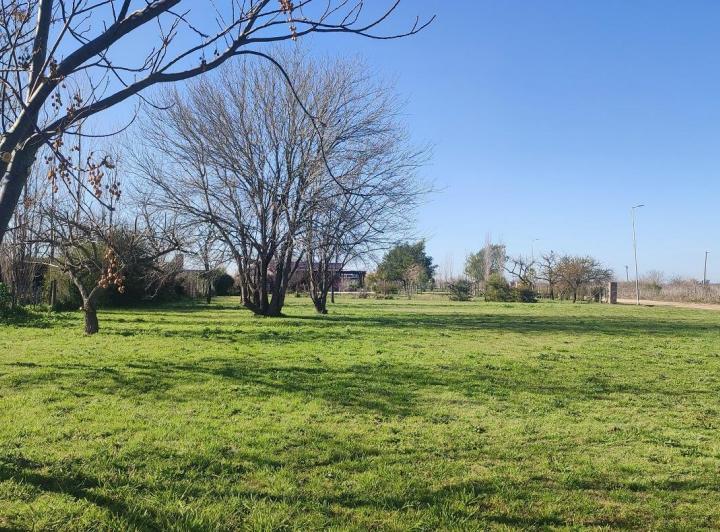 Terreno · 2027m²