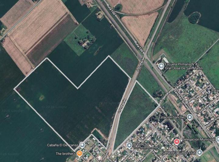 Campo · 52ha