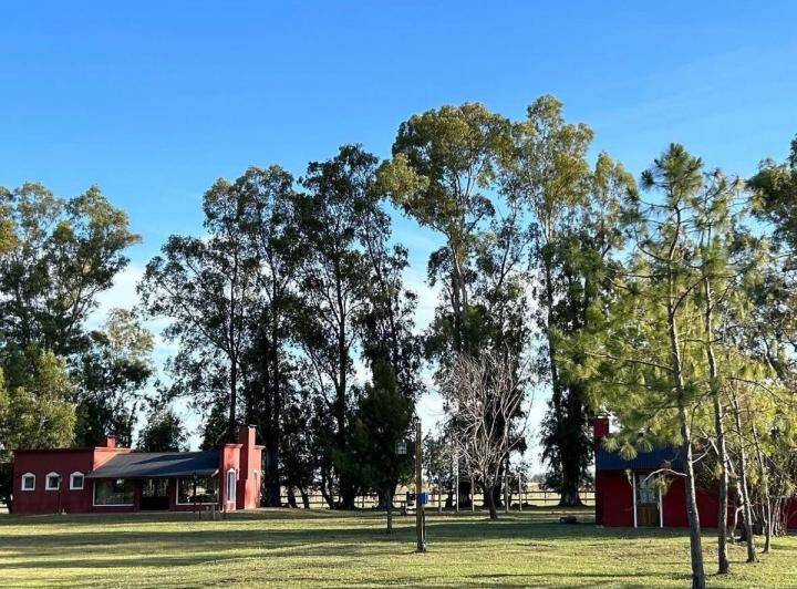 Campo · 390348m²