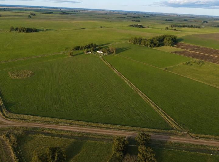 Campo · 200m²