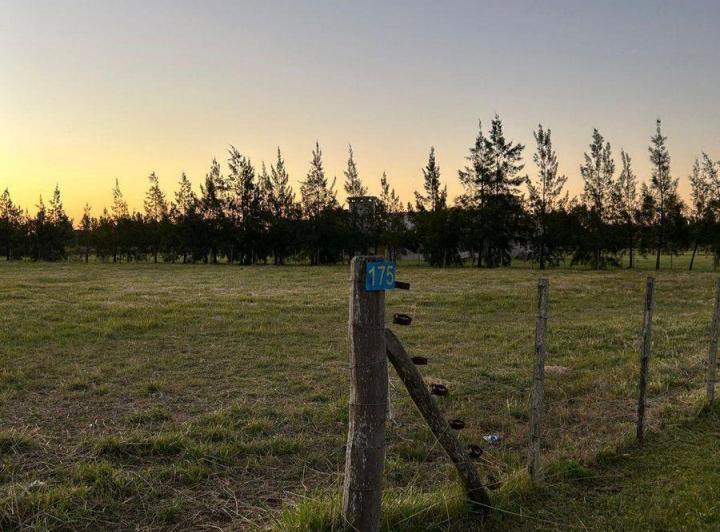 Terreno · 6540m²
