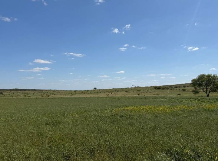 Campo · 284ha