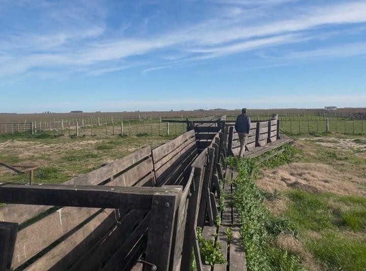 Campo · 4426ha