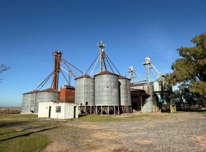 Campo