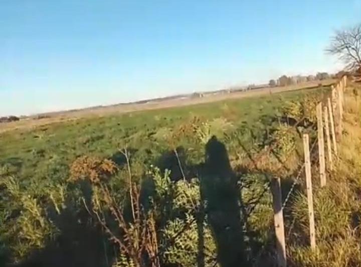 Terreno · 90ha