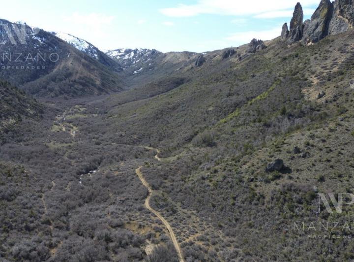 Campo · 1000000ha