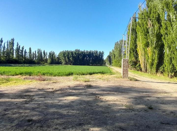 Campo · 178m² · 2 Ambientes · 1 Cochera