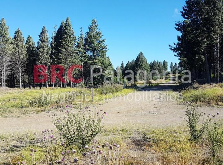 Terreno · 600m²