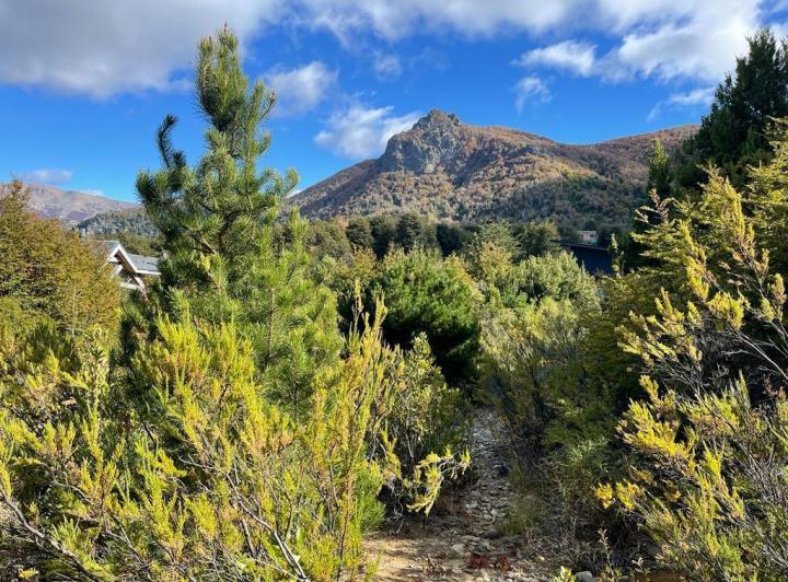 Terreno · 2618m²