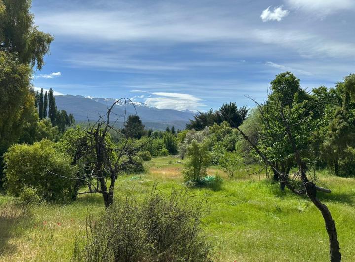 Terreno · 40000m²