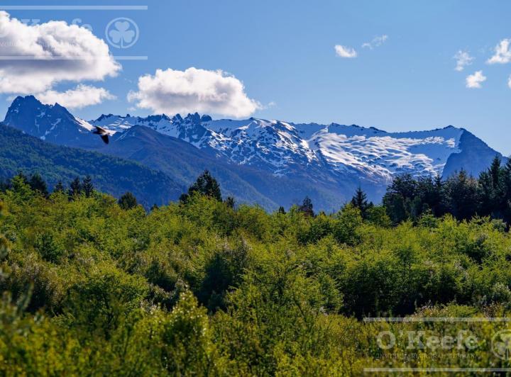 Terreno · 1672m²