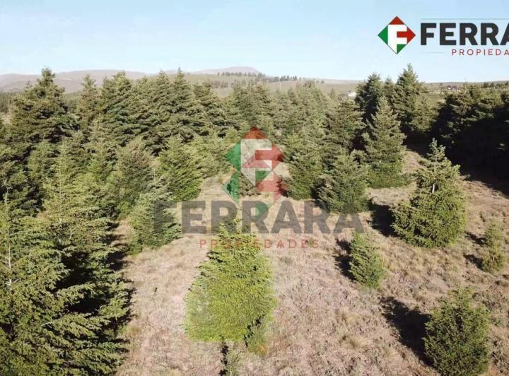 Terreno · 35000m²