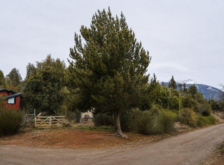 Terreno · 42m²