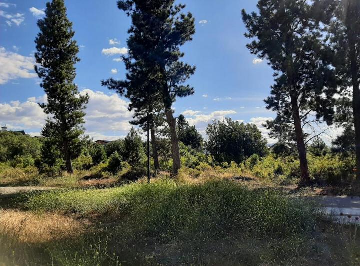 Terreno · 600m²