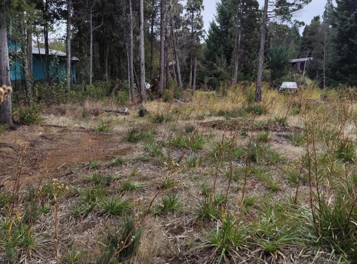 Campo · 5000m²