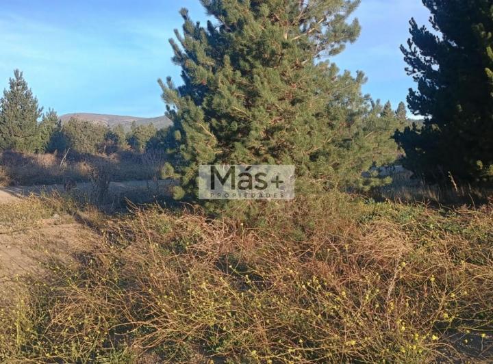 Terreno · 350m²