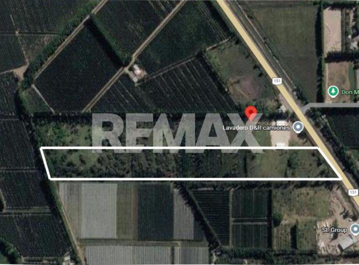 Campo · 6ha