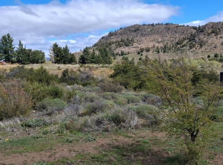 Terreno · 2020m²