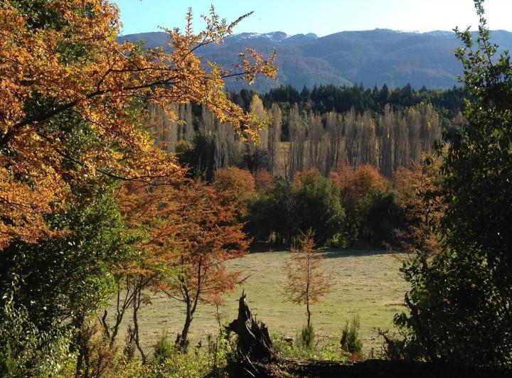 Campo · 45000m²
