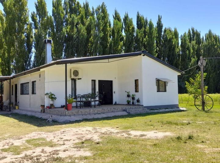 Campo · 135ha