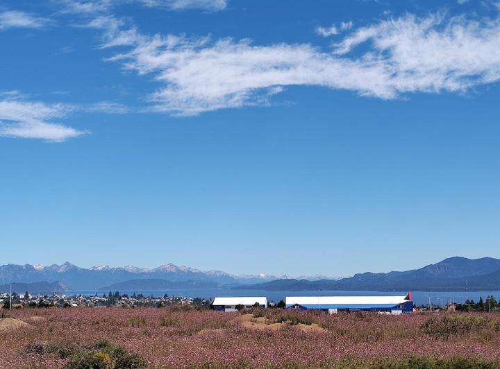 Terreno · 2460m²