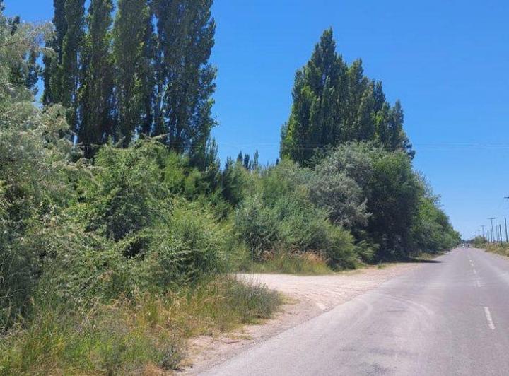 Terreno · 110000m²