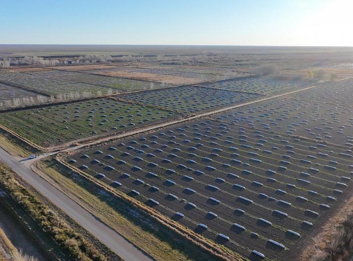 Terreno · 50ha · 1 Ambiente