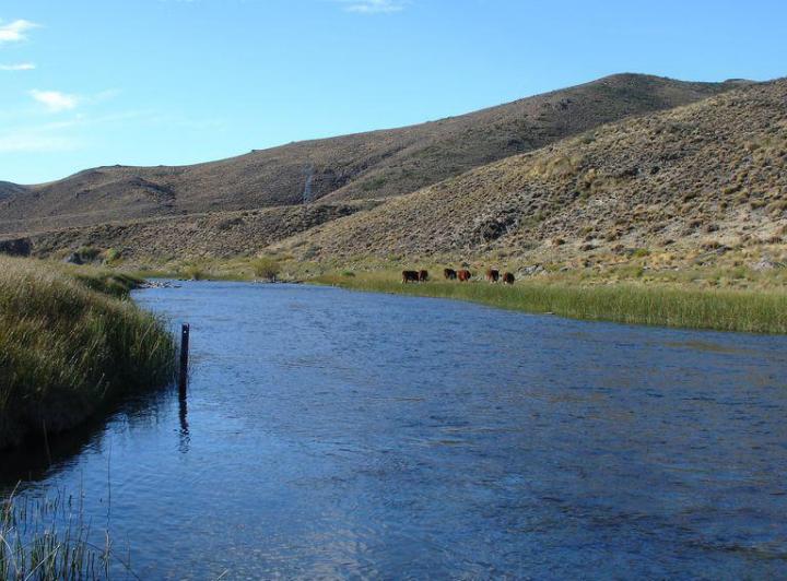 Campo · 6938ha