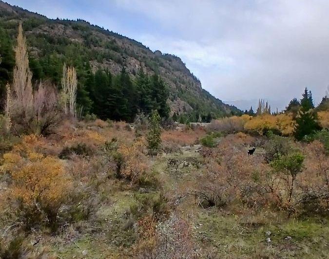 Campo · 75000m²