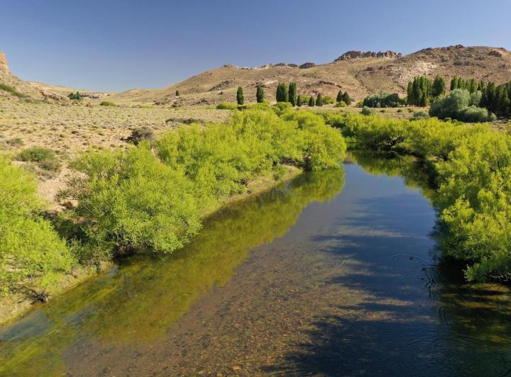 Campo · 6350000ha