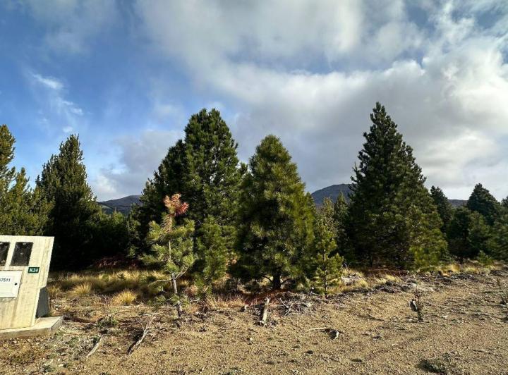 Terreno · 1572m²