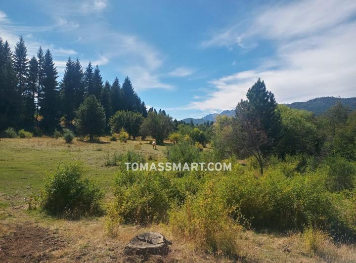 Terreno · 8ha