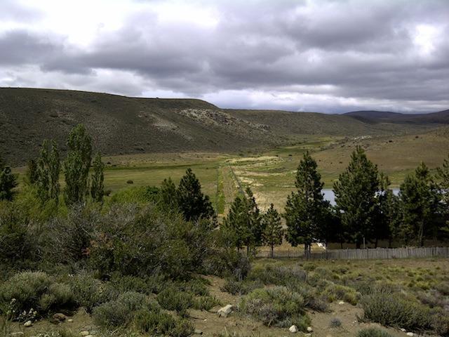 Campo · 69000000ha