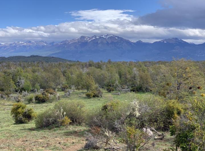 Campo · 212ha