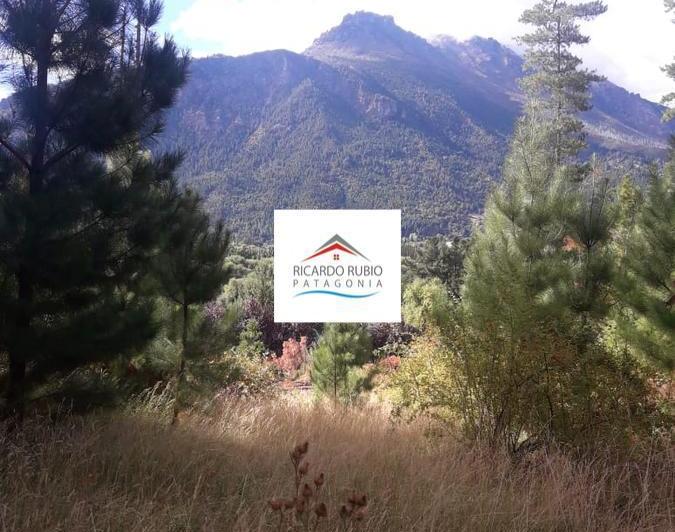 Campo · 18000m²