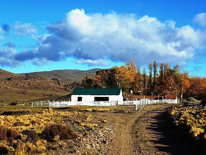 Campo · 50000000ha