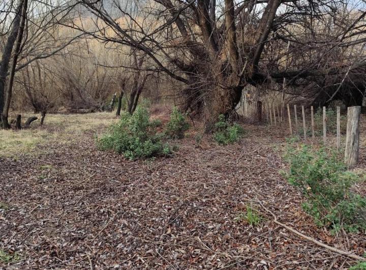 Terreno · 4000m²