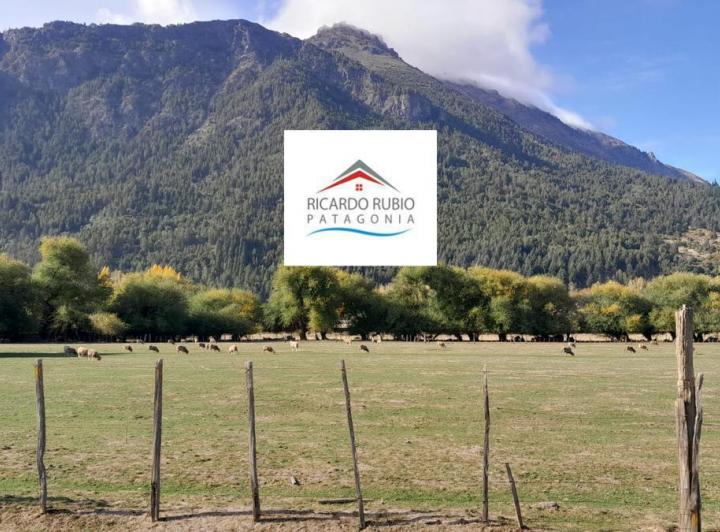 Campo · 20000m²
